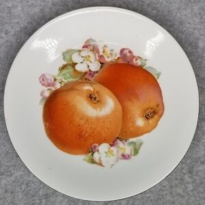 Cmielow Fine Porcelain Salad Dessert Plate Fruit‎ Design Gold Rim Made In Poland
